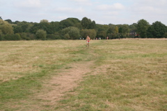 IMG_2233.JPG